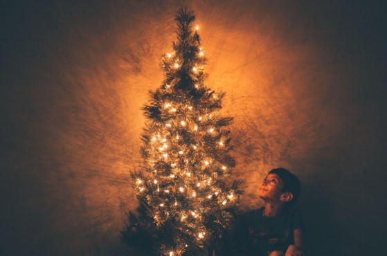 Find the Perfect Christmas Trees and Ornament Sets